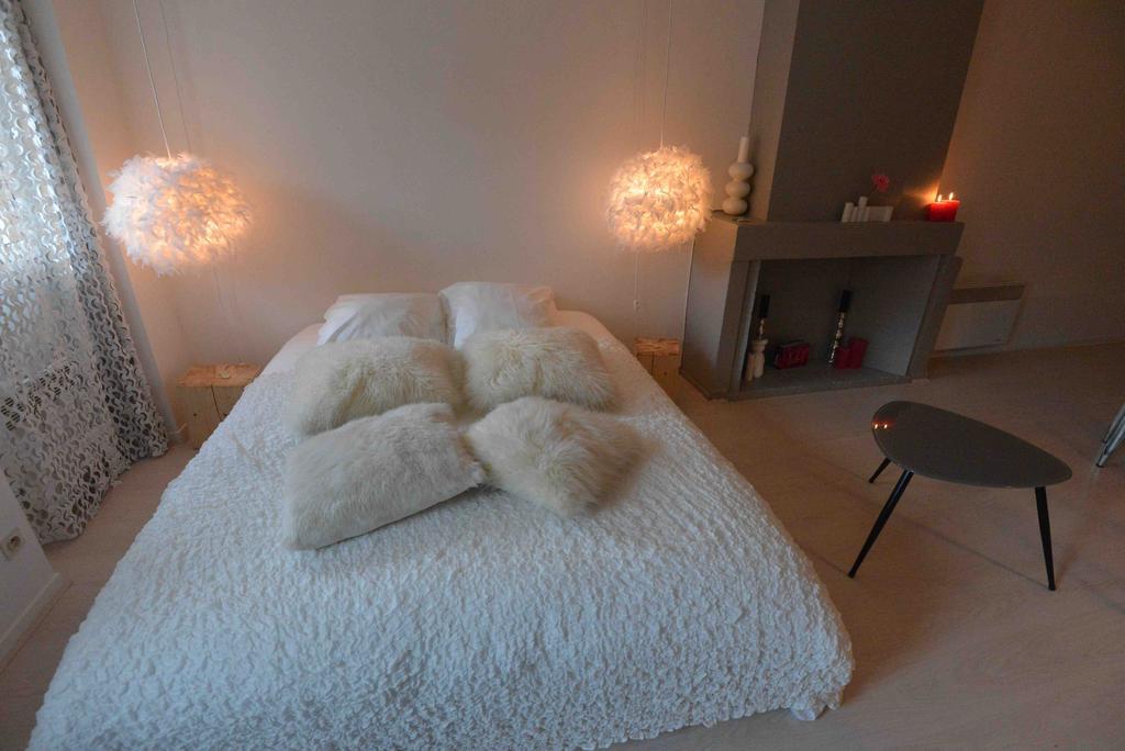 "Un Lieu Unique" Le Cozy Apartment Annecy Bilik gambar